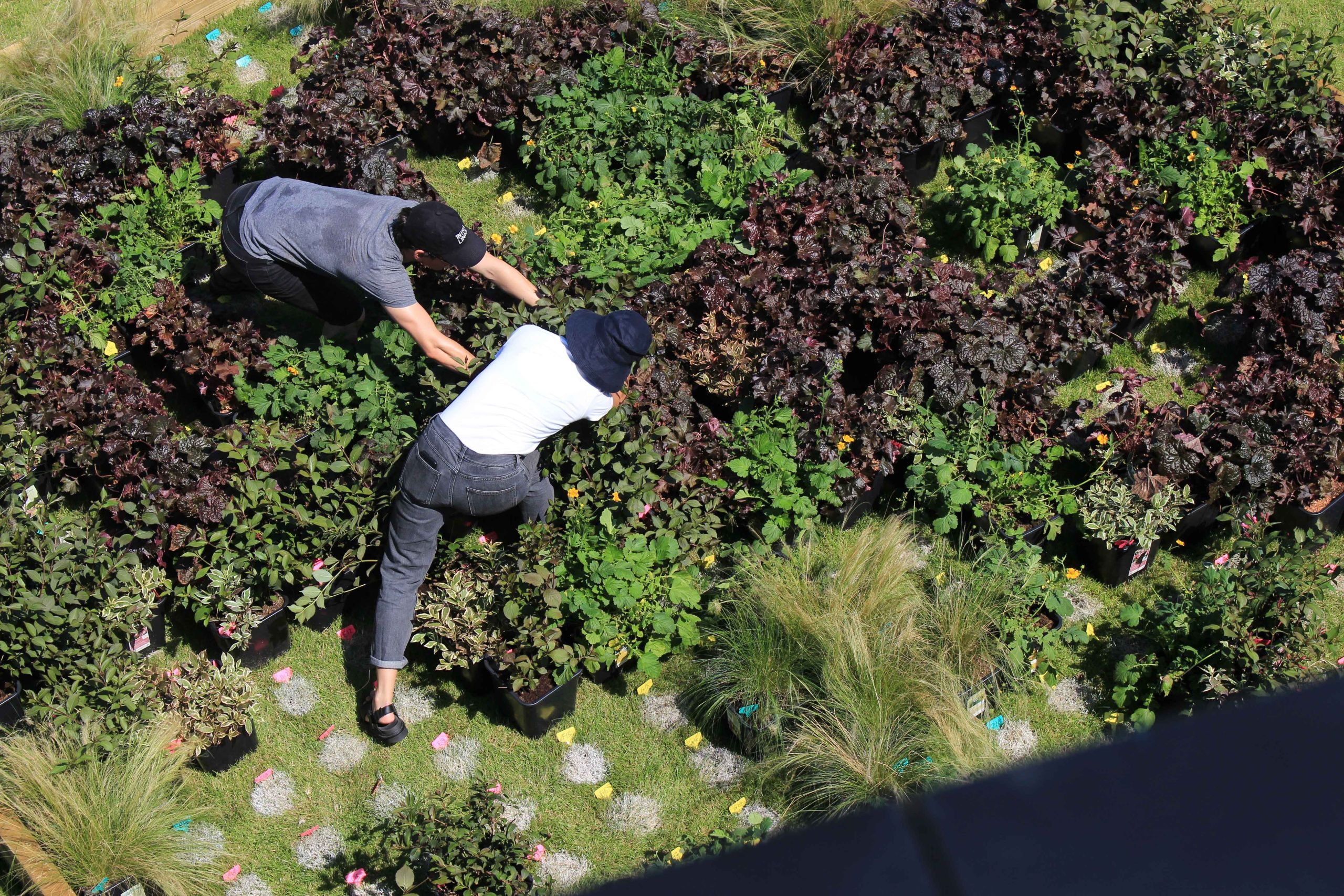 Ecology at Barking Riverside